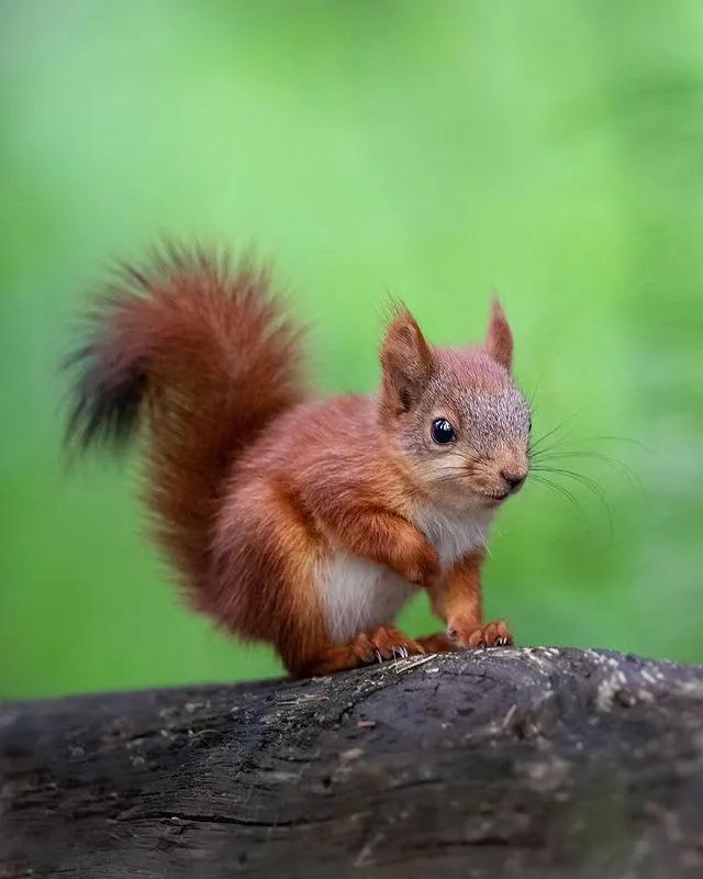 葬礼当天，她成为了四个孩子的“后妈”，网友：这是童话故事吧