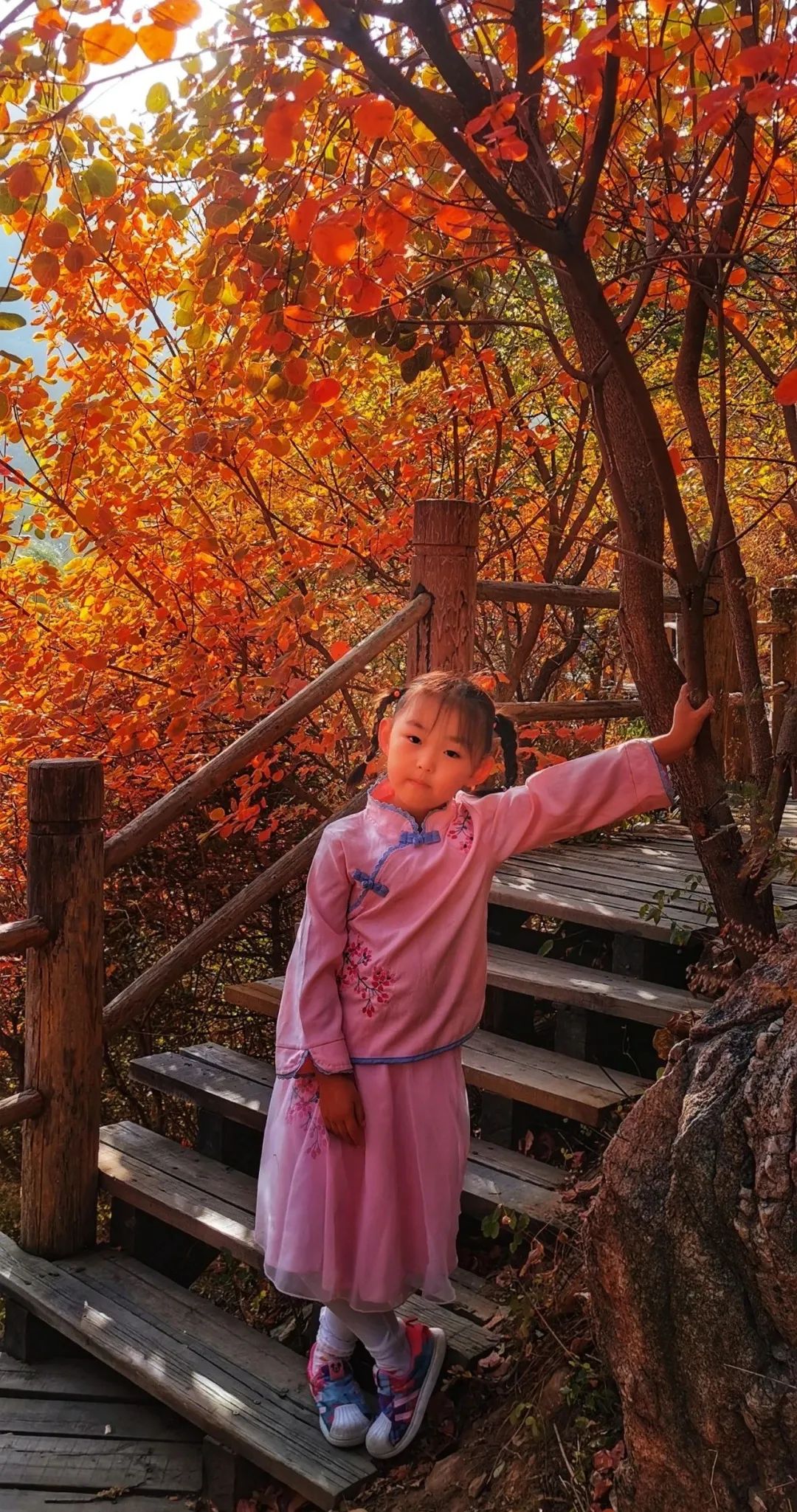 九如山什么季节去最好,九如山赏枫一日游