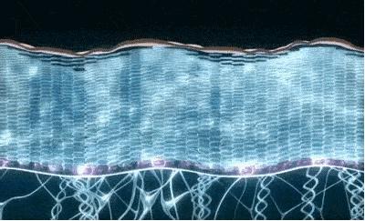 一分钟看懂科普知识,科普一分钟读懂药品