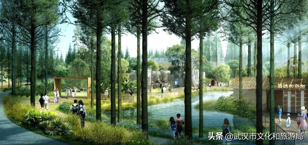 武汉动物园哪一个更好玩,九峰森林动物园与武汉动物园