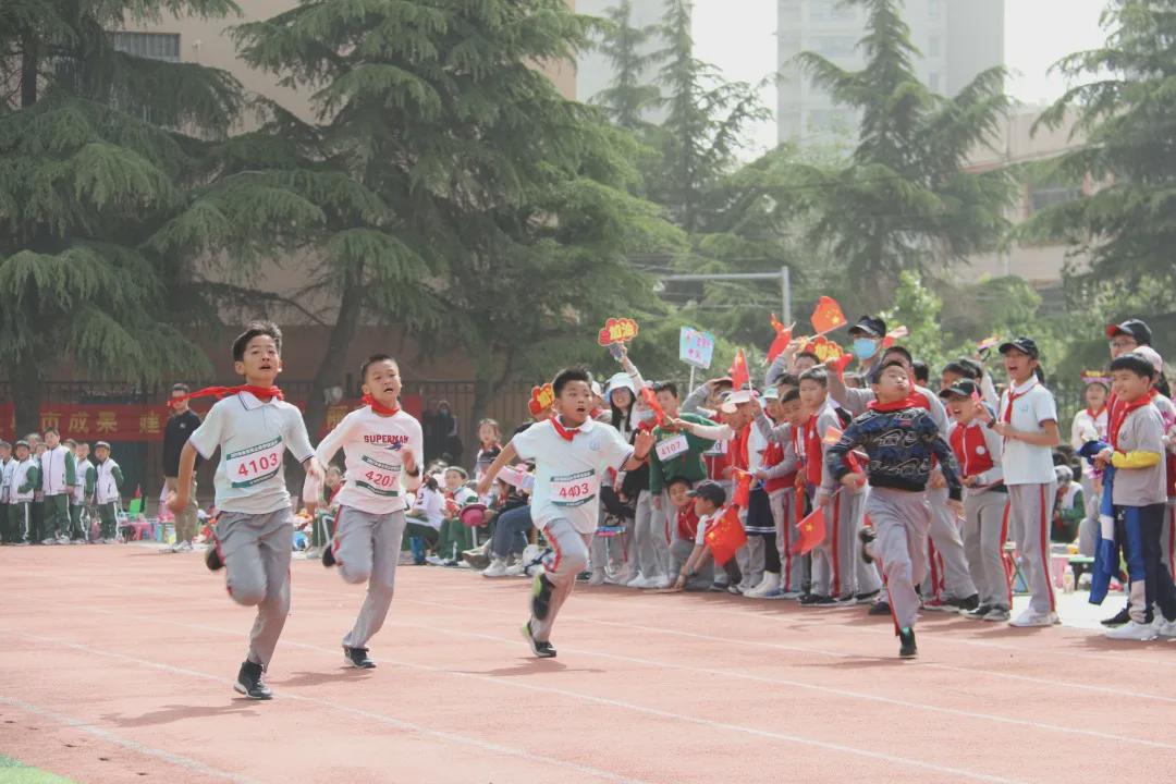 青岛市书院路小学,青岛书院路小学好吗