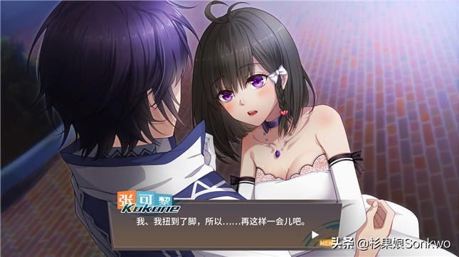 杉果十周年史低游戏,steam杉果新游戏