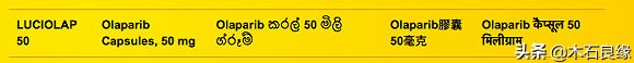 仿制药印度市场,印度仿制药陷造假风波