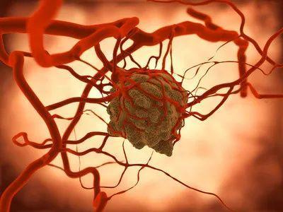 为什么补充蛋白质会提高免疫力,合理补充蛋白质能提高人体免疫力