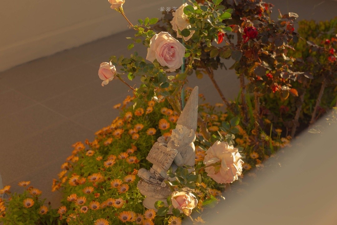 在我的世界创世神当中谁才是第一,在我的世界里当创世神