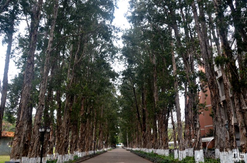 广州免费室内拍照地方推荐,广州拍照免费场景推荐