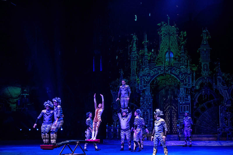 玩转广州长隆野生动物世界之行,广州长隆动物世界游玩攻略图