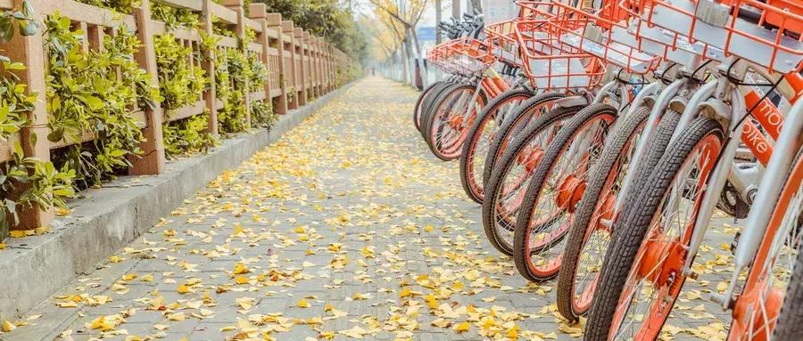 长沙六月将有这么多大事发生!驾考、高铁、航线…与你息息相关!