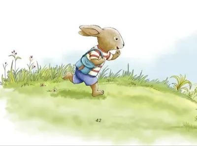 小学生课外读物兔子坡,兔子坡课外读物