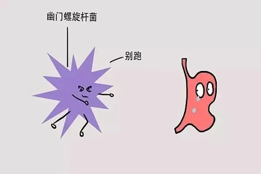 治疗幽门螺杆菌需要多少天,美国幽门螺杆菌消息