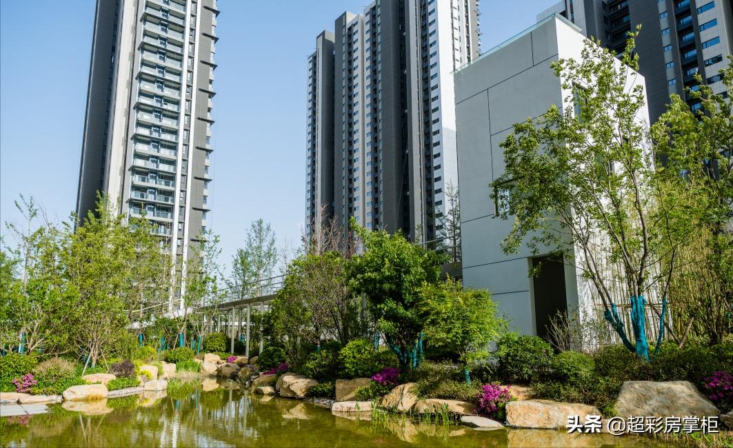 超彩房掌柜,郑州超彩