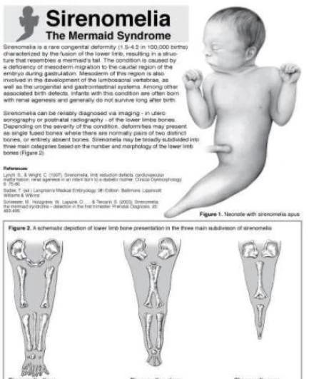 美人鱼是否真的存在有没有记载,美人鱼真的存在吗大结局