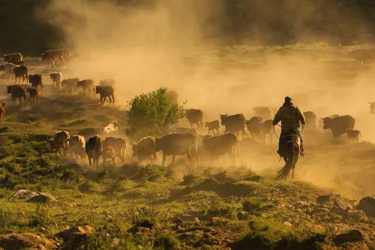 迁徙的家园，马背上的诗