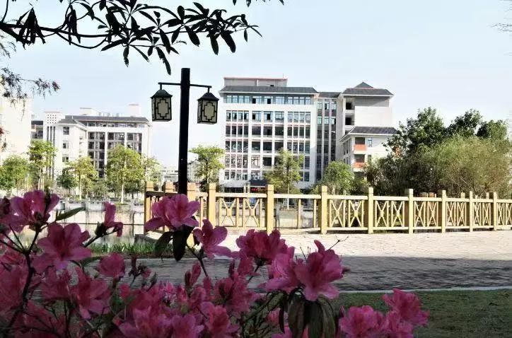 惠州卫生职业学院2019专科分数线,惠州卫生职业技术学院提前批分数