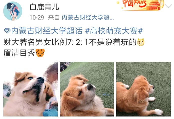 男女比例失衡真的有那么严重吗,中国男女比例失衡最严重的省