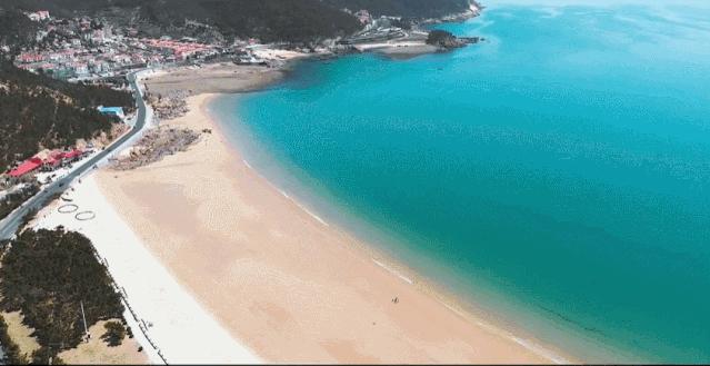 均温20℃的海滨老城，紫色泡桐花美得像国外，现在去性价比超高