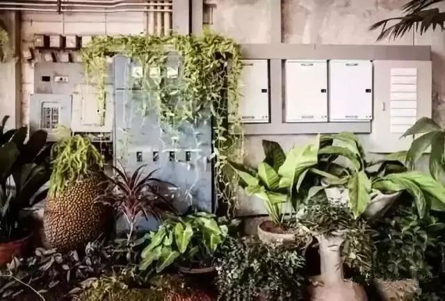 田园农场农庄,空绿田园农场餐厅