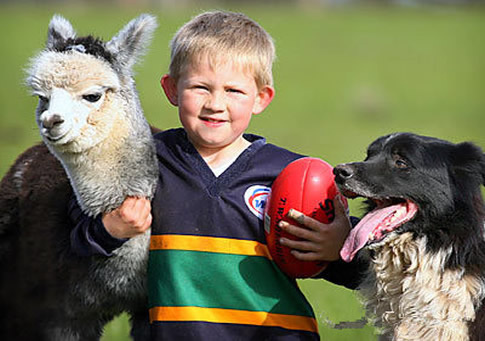 新西兰华人的真实,新西兰概况华人的生活状况