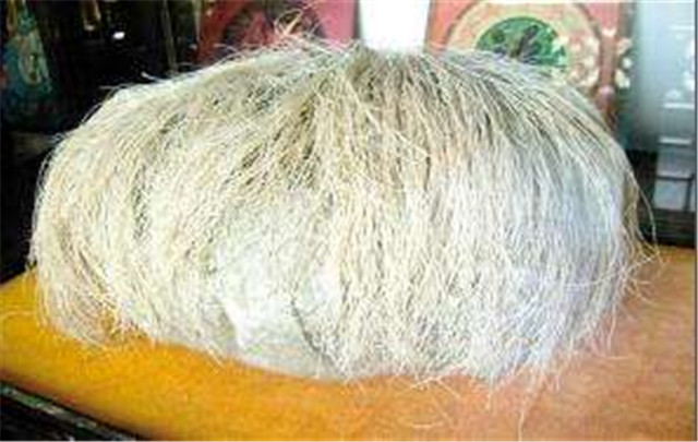 长满白发的石头,长白发的石头鉴定视频