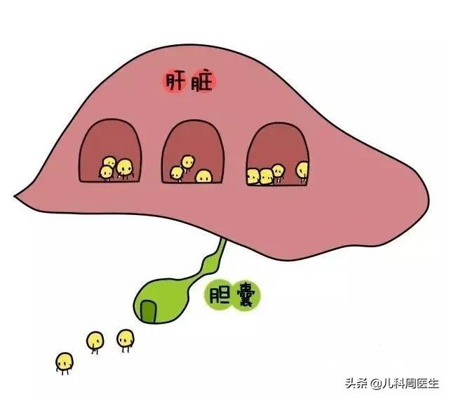 出生第二天宝宝皮下有出血点,40多天的新生儿皮下出血怎么办