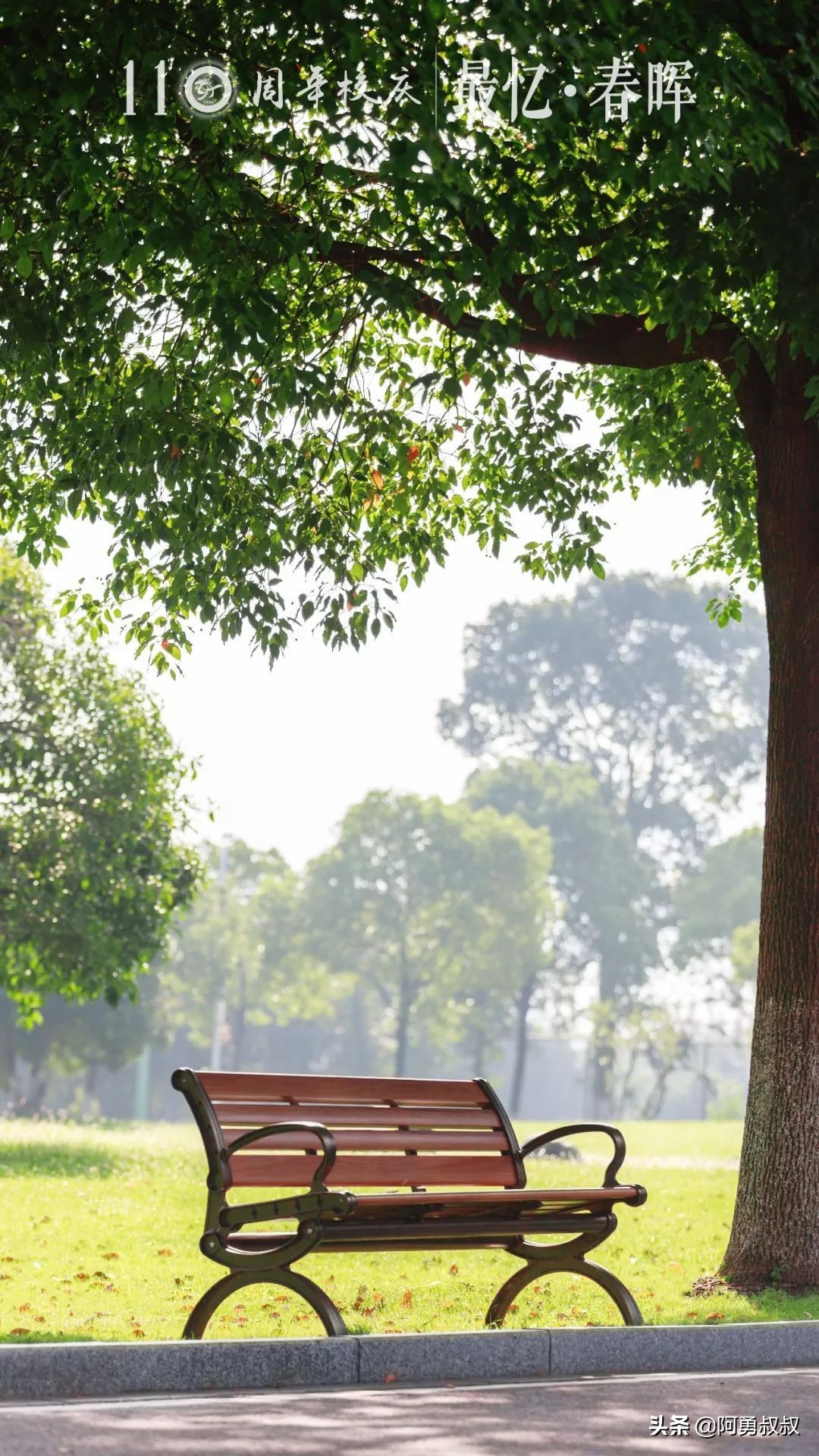 浙江春晖中学好还是柯桥中学好,上虞春晖中学全国排名第几名