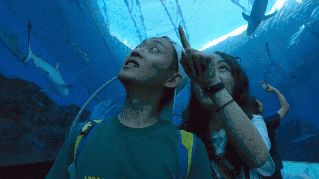 5年之许,小白逆袭重返新加坡