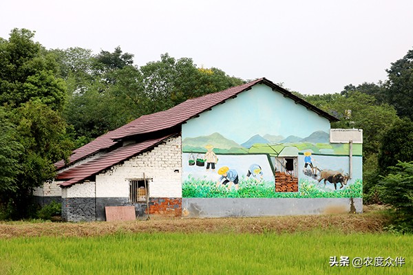 资阳田园乡村旅游景点,湖南省益阳市桃江县美丽乡村