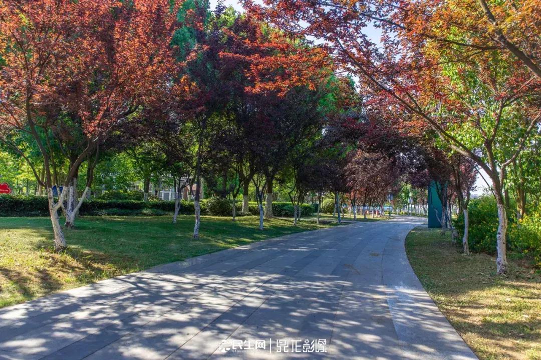 芜湖银湖公园在什么地方,芜湖银湖公园傍晚