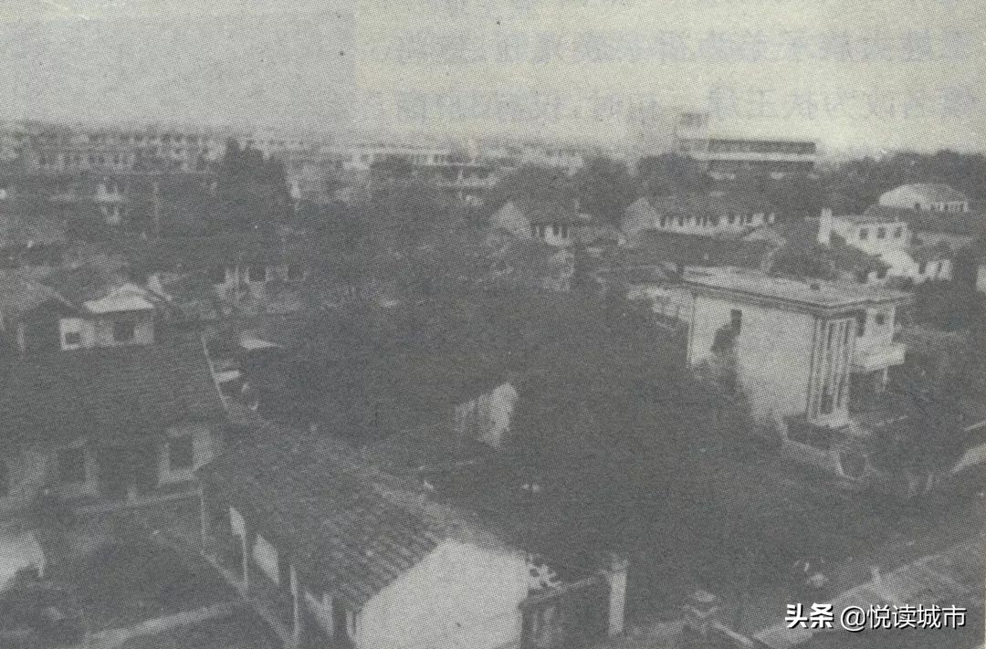 金秋赏“金”：新老照片对比金山发展老金山都不一定认得全