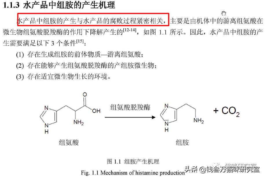 娓存湜缁勮兒瓒呮爣,娓存湜缁勮兒