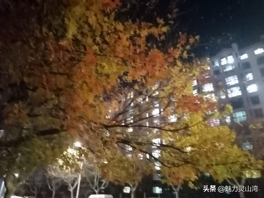 青岛的房屋空置高吗,青岛西海岸新区房子为什么会掉价