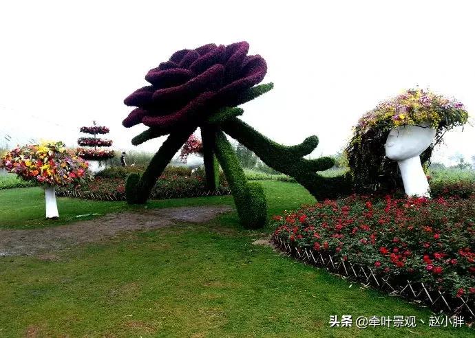 踏春寻美景,踏春赏花梯田漫步