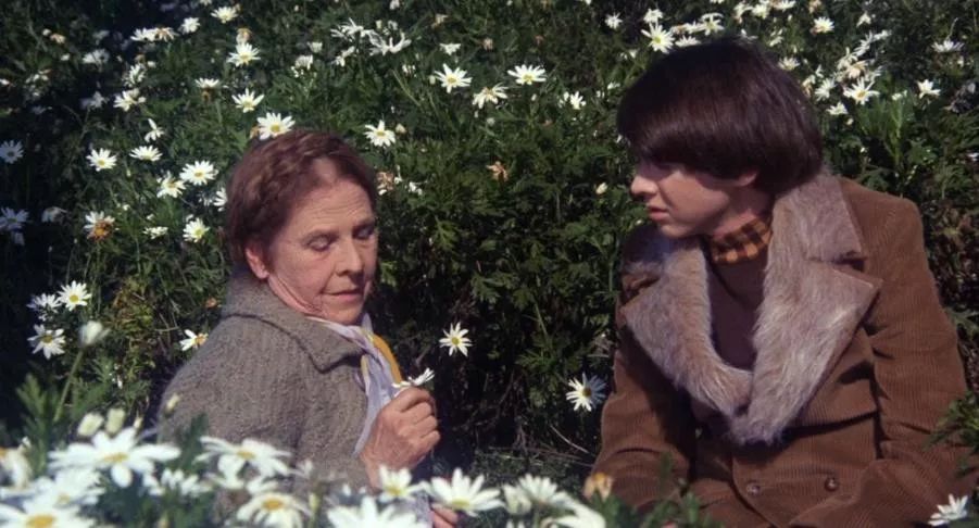 一个20岁小伙子的故事,一个20出头的男孩爱上一个女孩