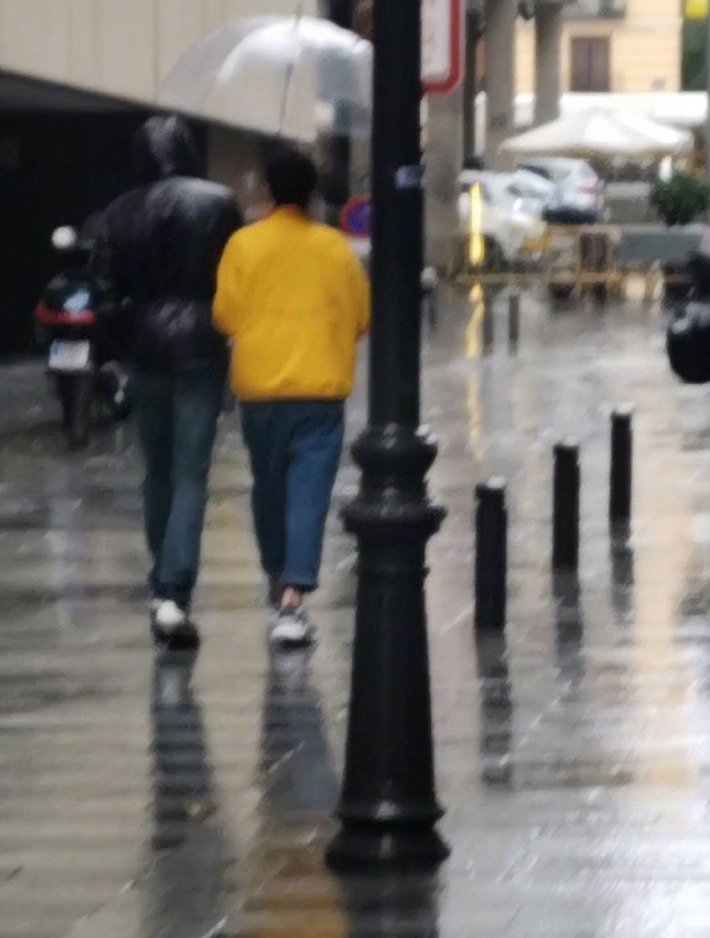 小包总杨烁是什么综艺,小包总杨烁的正面照