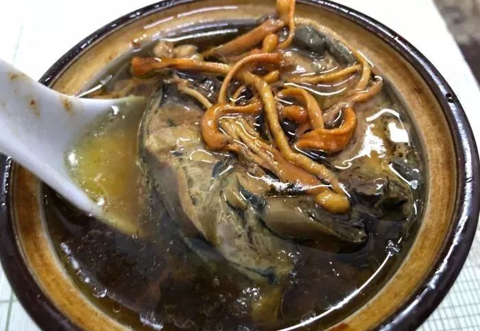 南宁15家老字号餐饮美食,南宁特色美食招牌菜