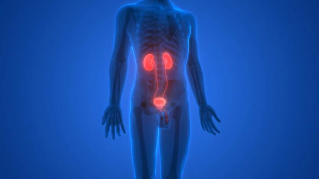 20岁小伙经常起夜,20岁起夜几次