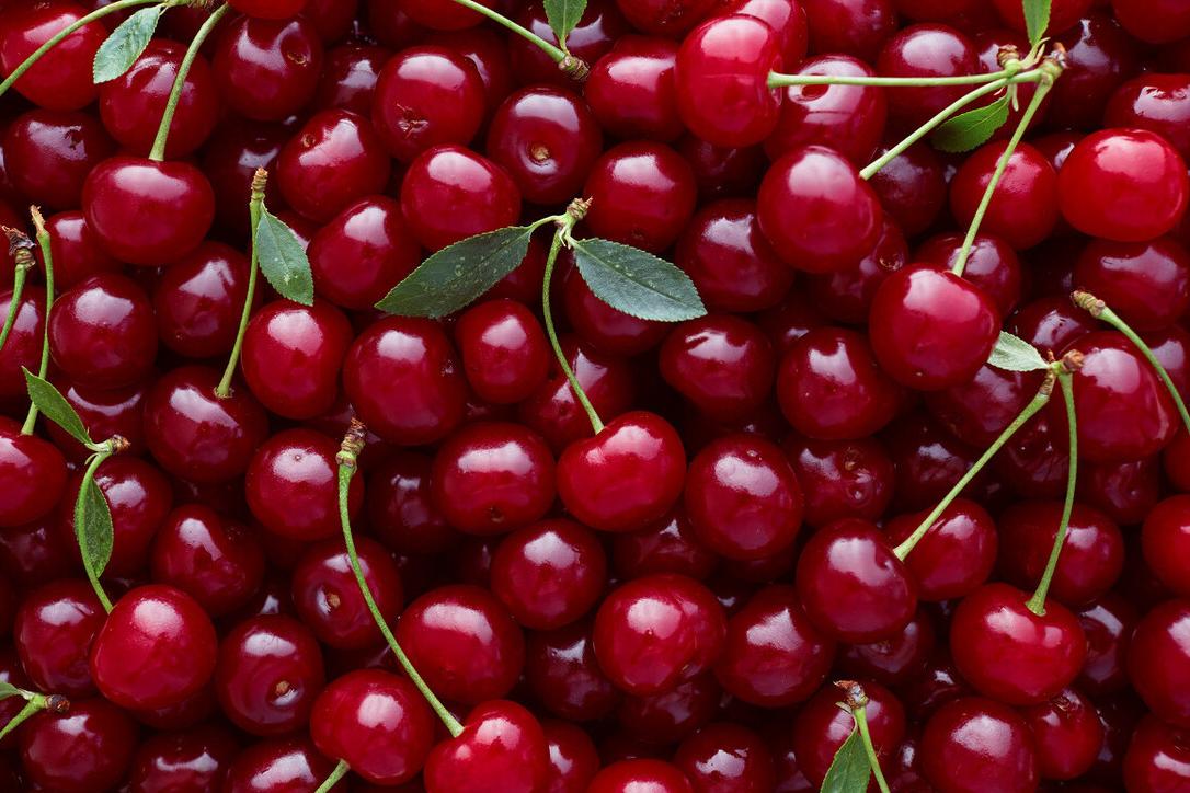 美早大樱桃可以冒充车厘子吗,冒充车厘子的樱桃