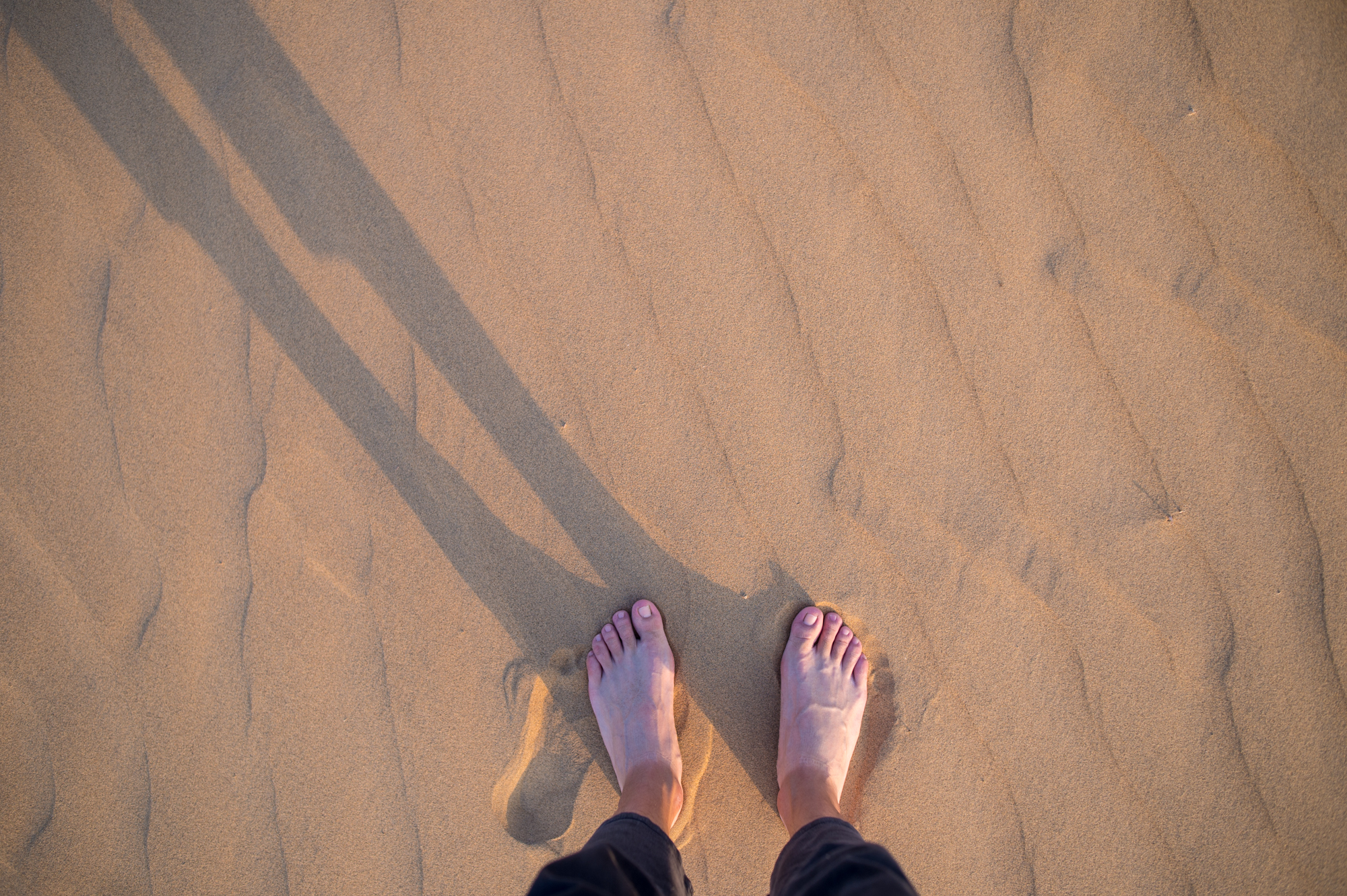 沙漠旅行会遇到的问题,去沙漠旅游可以乱跑吗