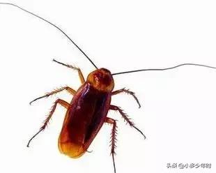 我是如何培养孩子阅读的,我是怎样培养孩子阅读的