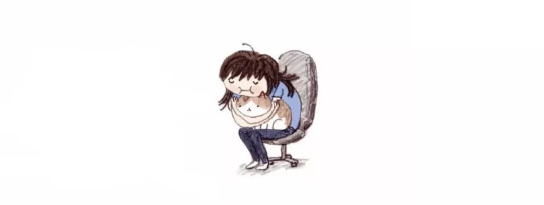 养猫咪新手入门必知疫苗怎么打,新手养猫疫苗怎么打