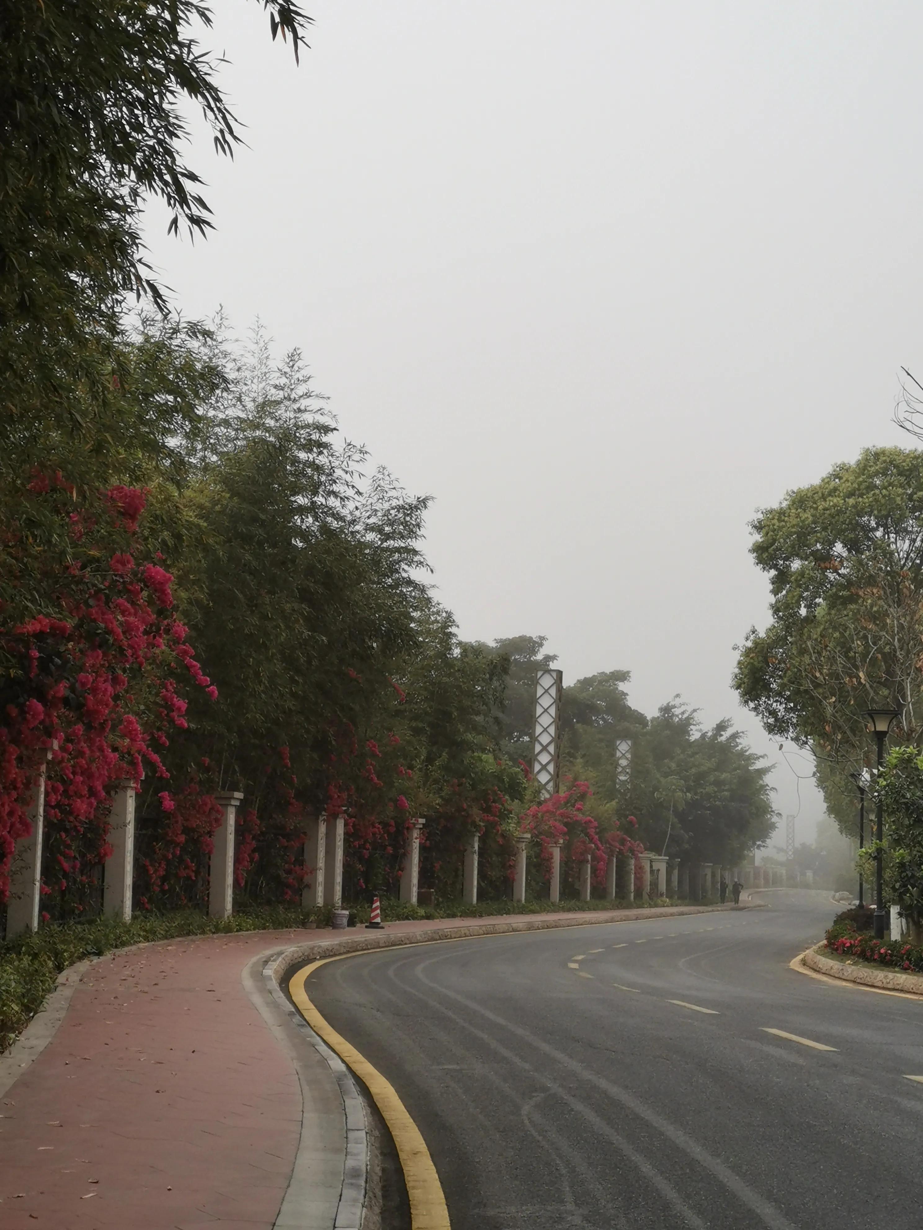 濮戝珎鏃呰璁板綍,濮戝珎鏃呰鏃ヨ