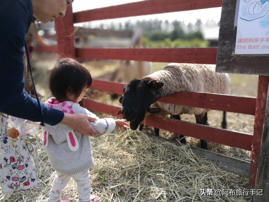 豆瓣9.1分，看过不足1500人，我却复盘了张日本最全野游图