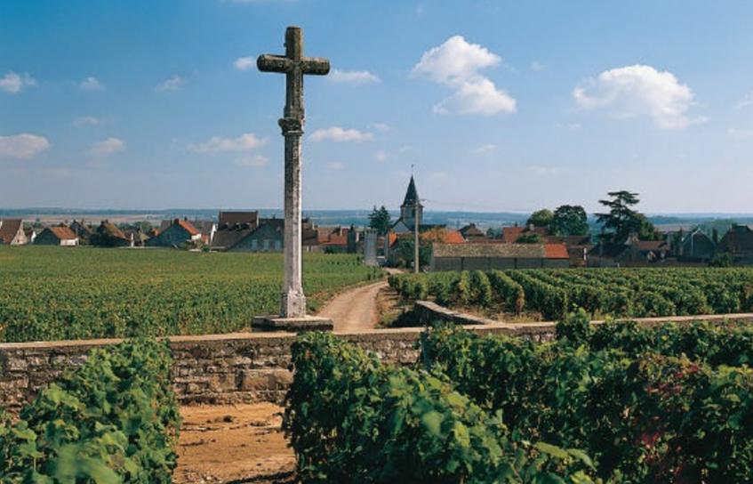 法国勃艮第美食美酒大盘点—你也会选，你也会做！