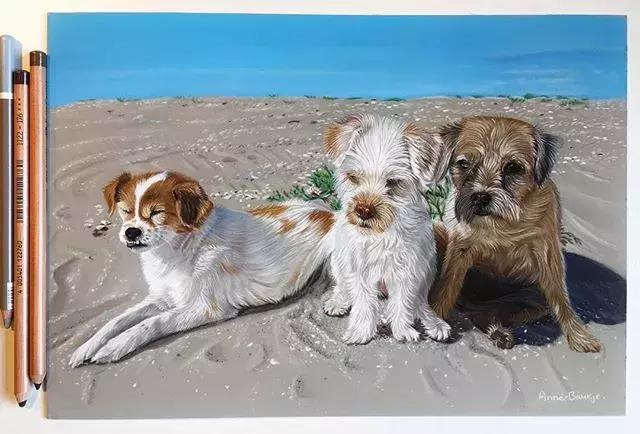 彩铅不会涂色怎么办,彩铅绘画干货