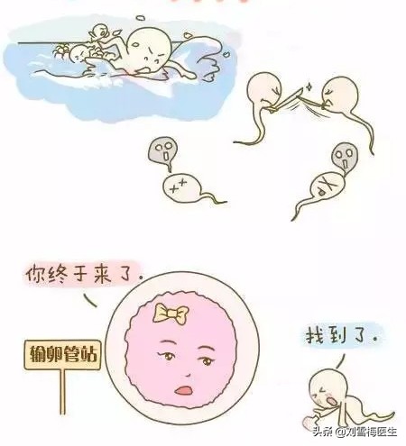 学会测排卵，怀孕快人一步，详细测排卵讲解记得收藏