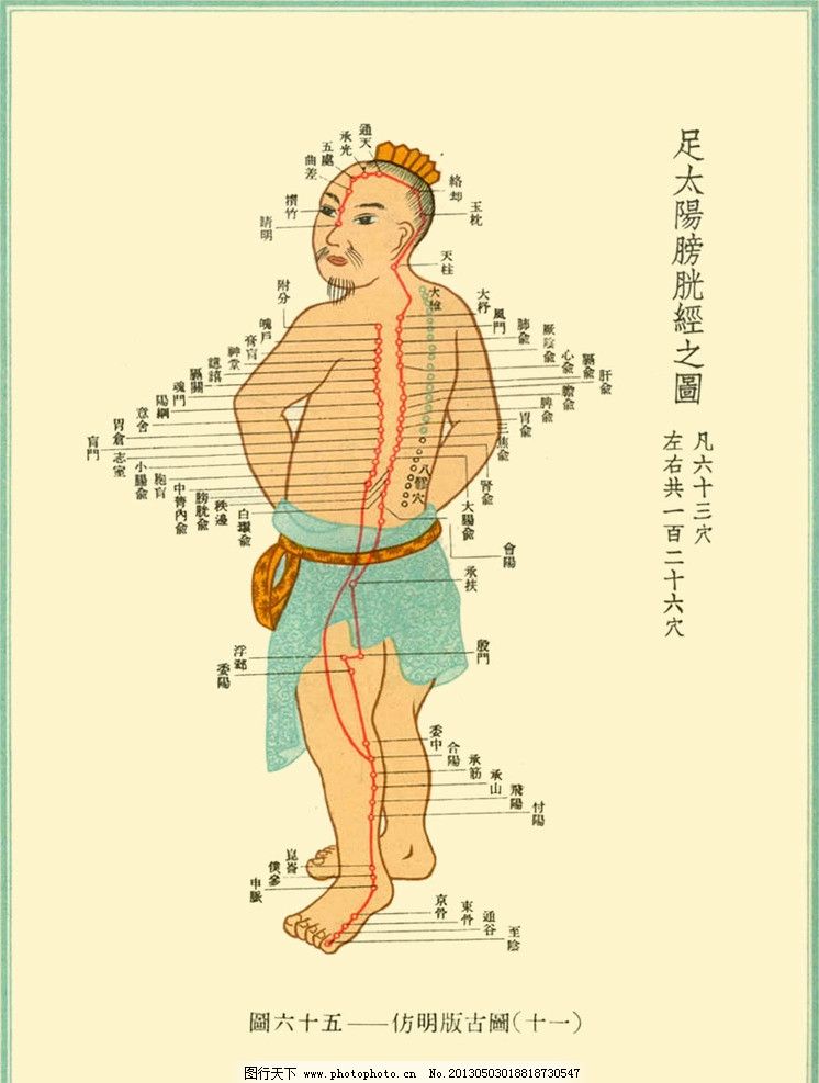 颈部穴位身体穴位图解,什么是穴位