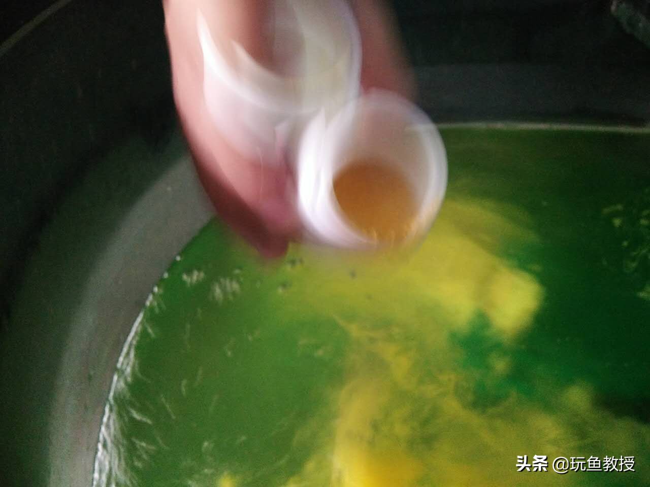 养鱼的药黄粉和绿粉的区别,养鱼用的万能白药片