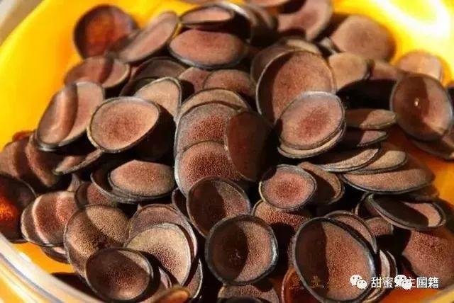 鲜鹿茸泡酒10斤酒需要多少鲜鹿茸,干鹿茸泡酒还是新鲜鹿茸泡酒好