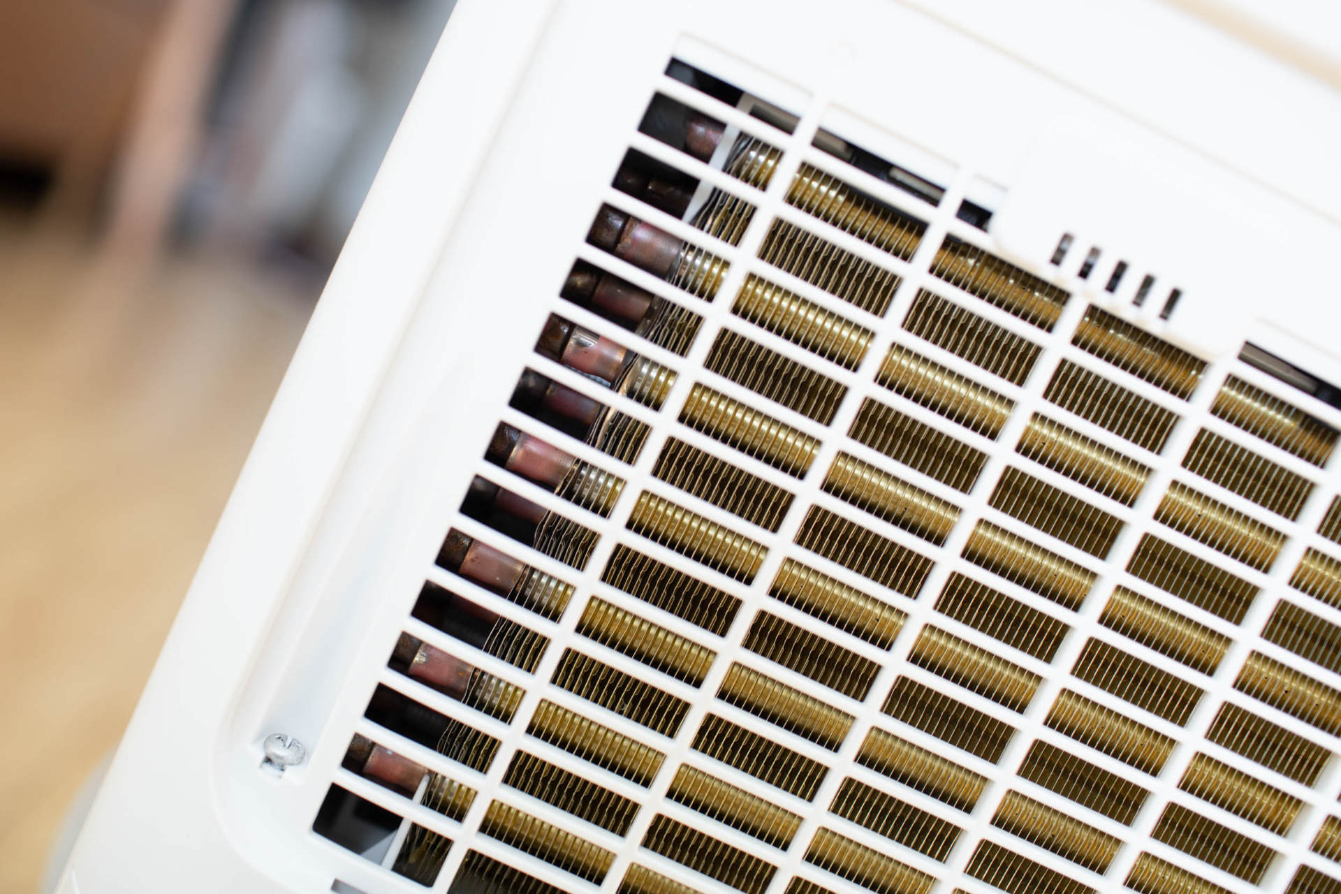 抵御南方湿冷的魔法攻击,小而强悍的伊岛*湿机除**