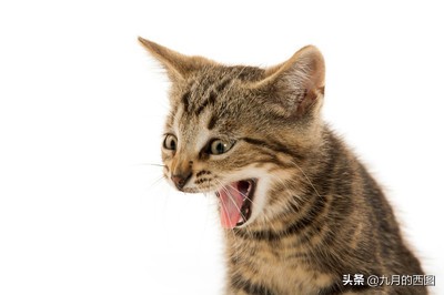 怎么发自嘲式幽默朋友圈,学会幽默自嘲